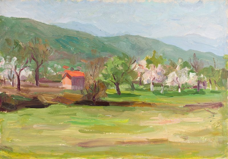 Пролет на село