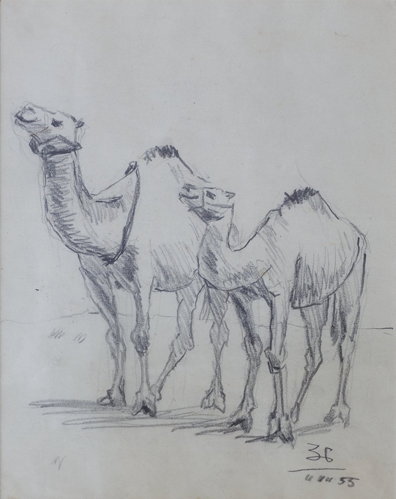 Камили by Златю Бояджиев