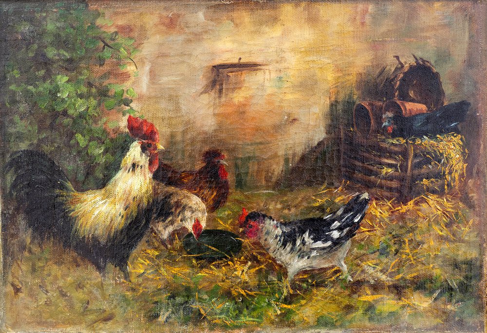 Кокошки by Иван Мърквичка