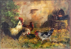 Кокошки by Иван Мърквичка