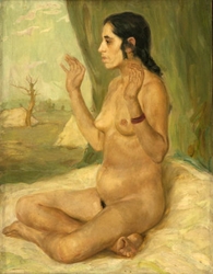 Колекция на НХА